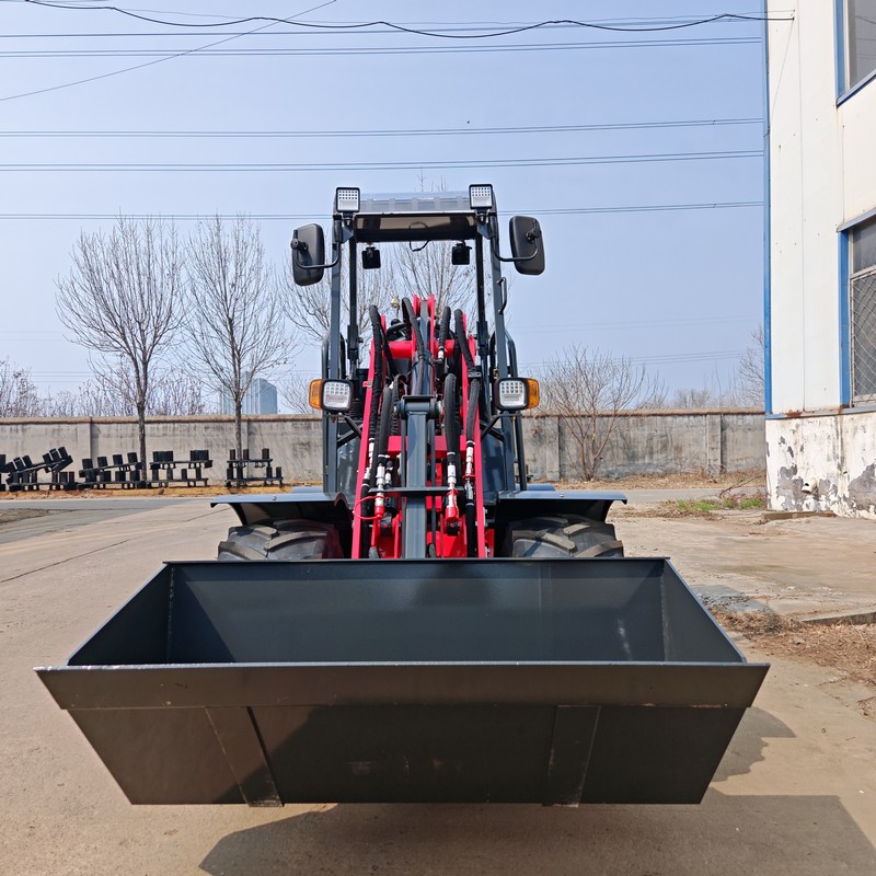 Cargadora compacta